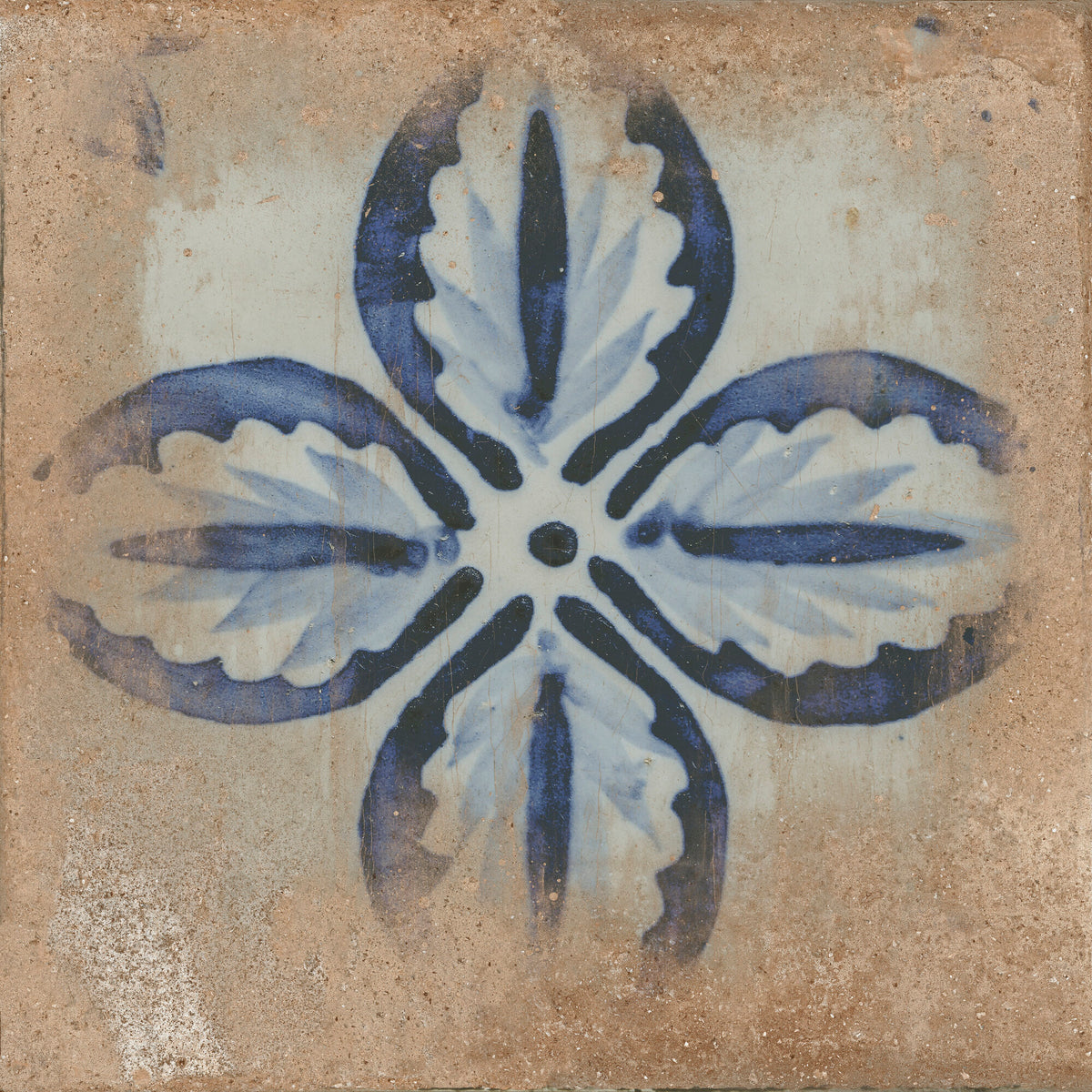 face · brolio-cotto-rect-120x120
