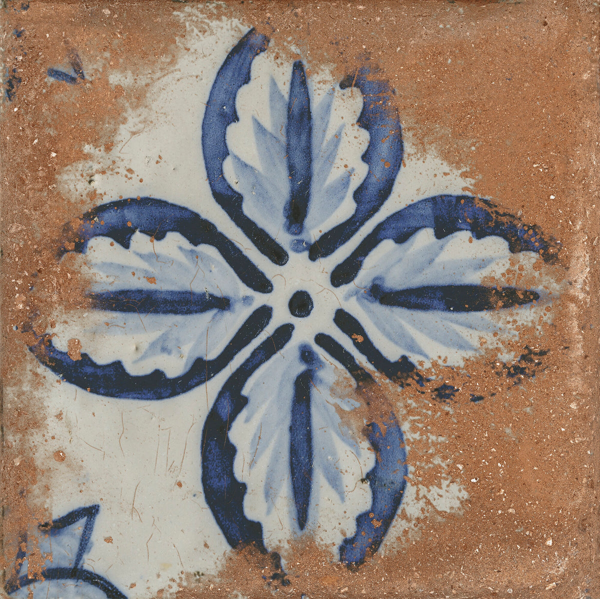 face · brolio-cotto-rect-60x60