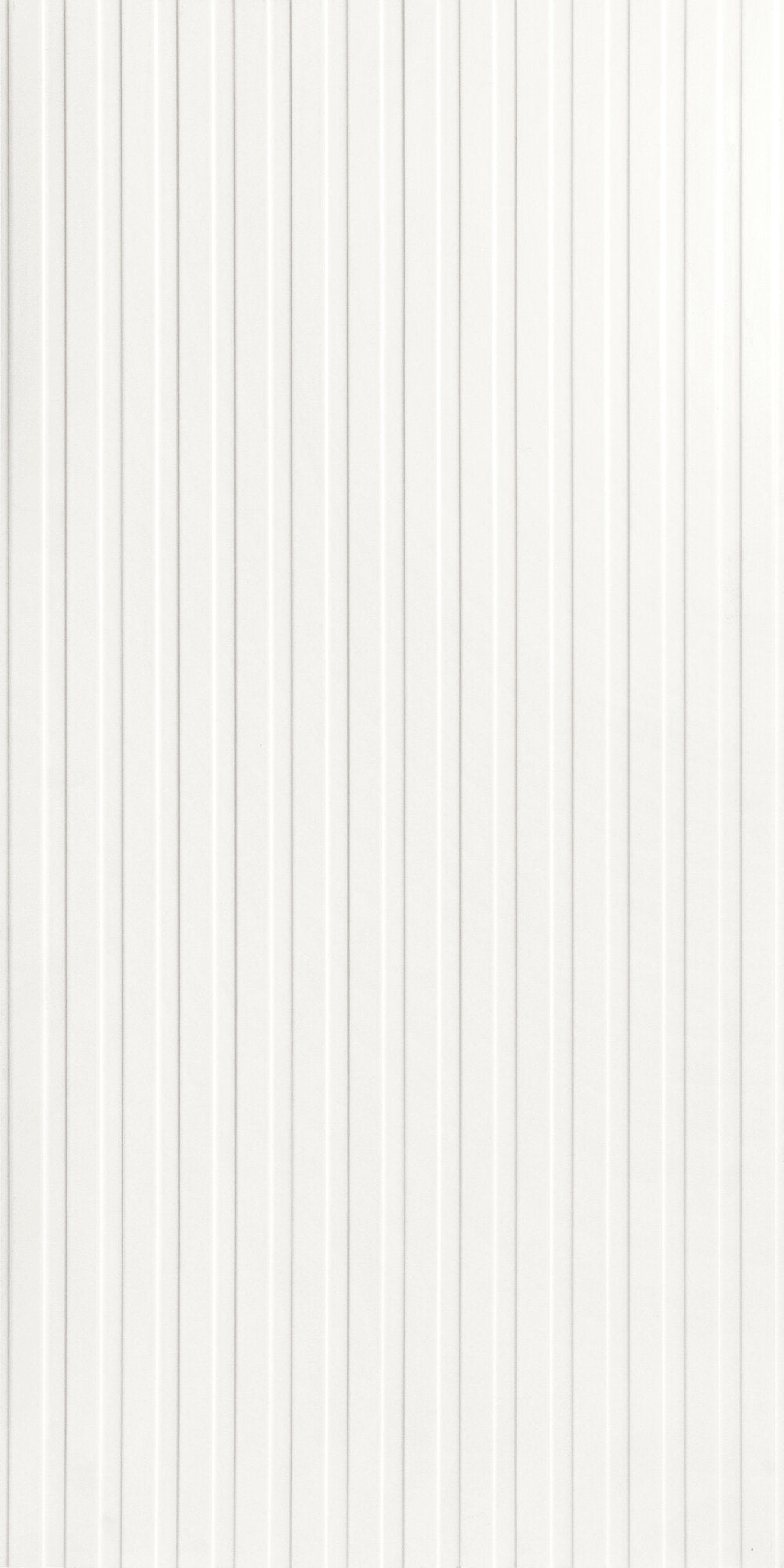face · chloe-bianco-rect-60x120