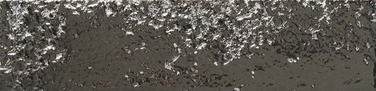 face · koi-silver-64x26