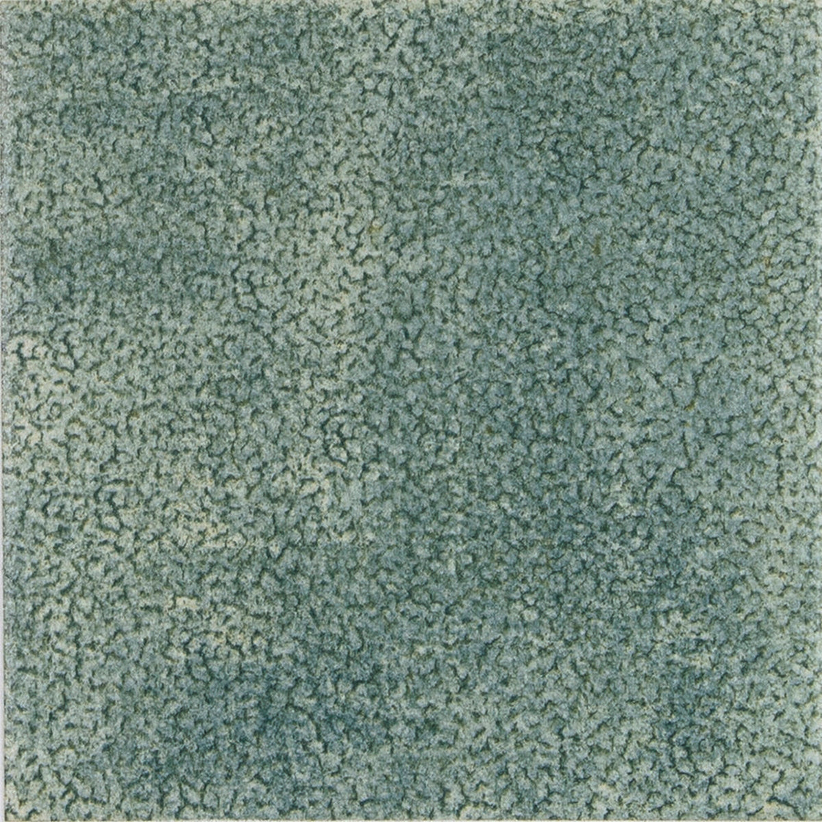 face · capri-green-15x15
