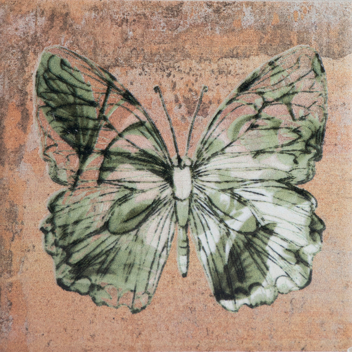 face · viento-verde-mix-10x10