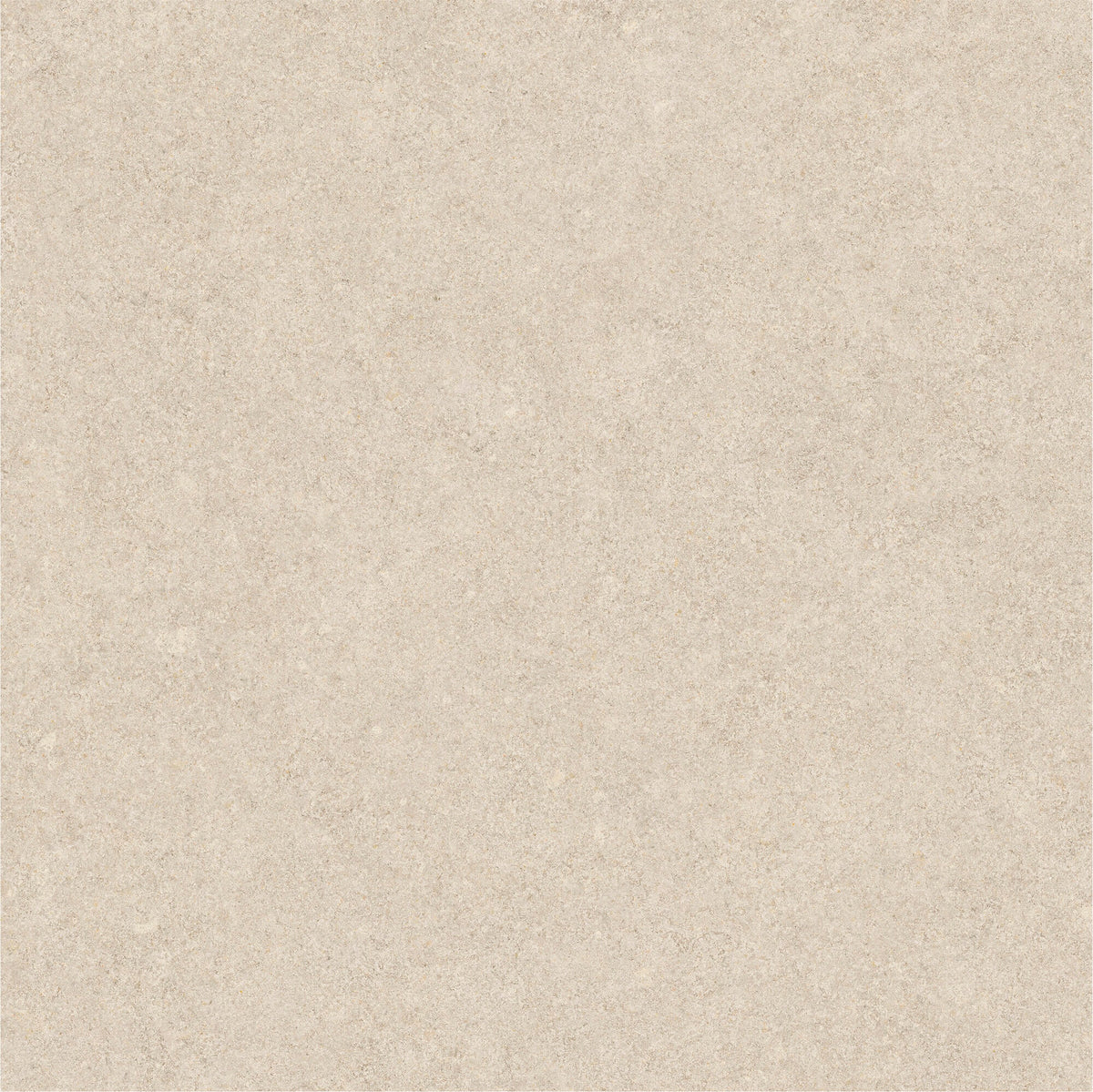 face · iwa-bone-rect-60x60