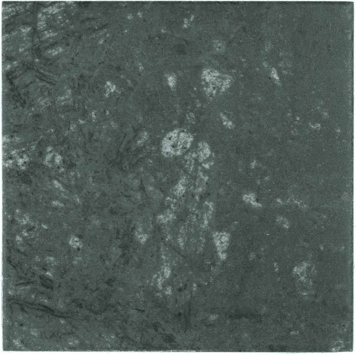 face · selva-15x15