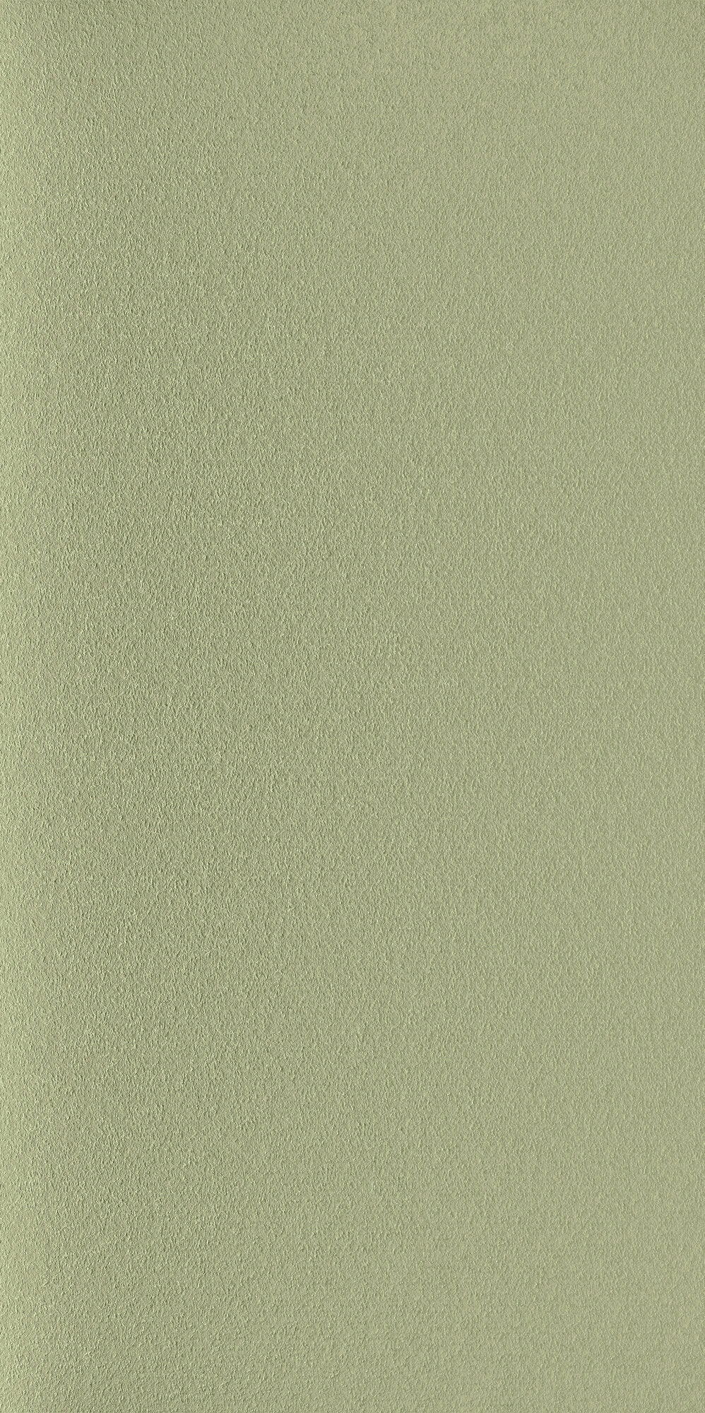 face · craft-wasabi-rect-60x120