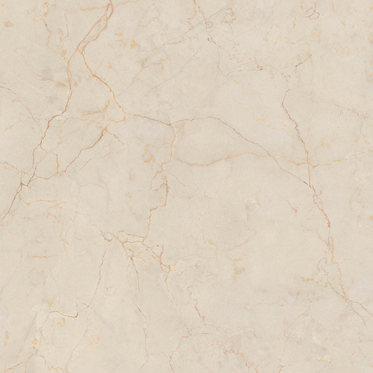 face · monte-coto-ivory-pol-rect-80x80