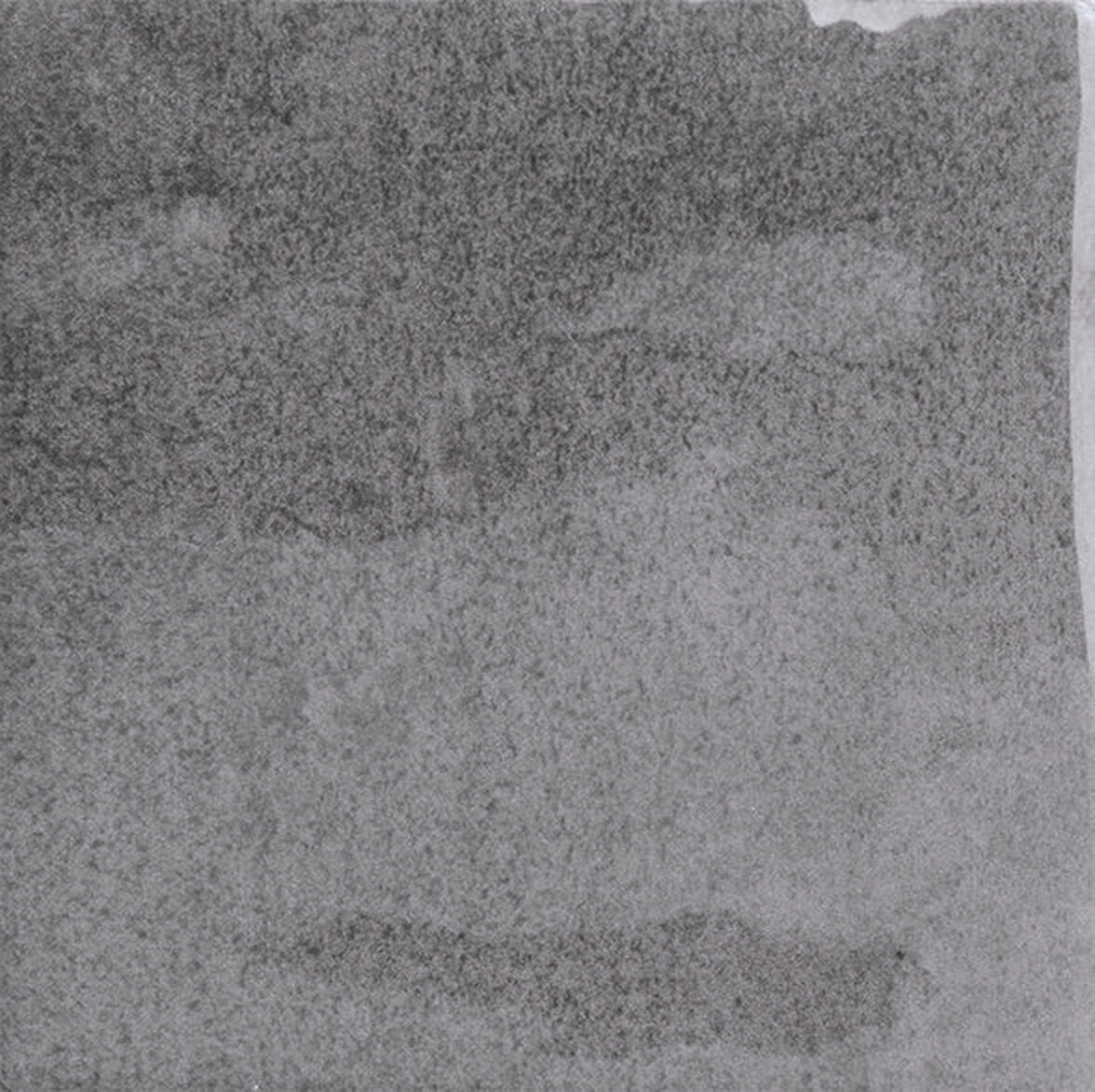 face · bottega-dusty-10x10