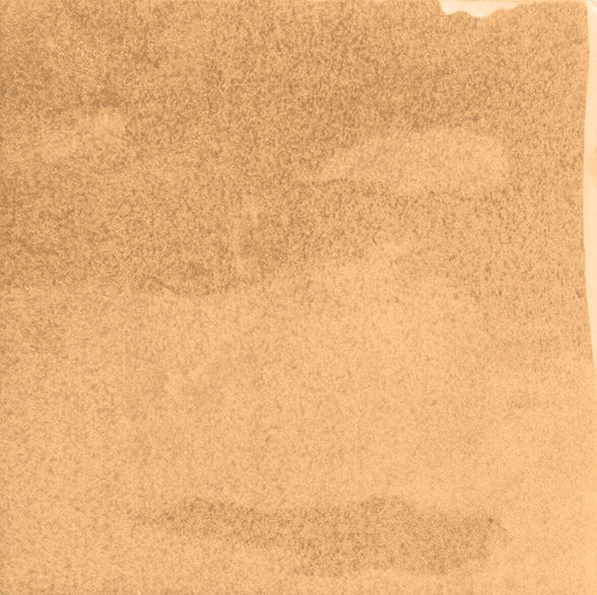 face · bottega-ocher-10x10