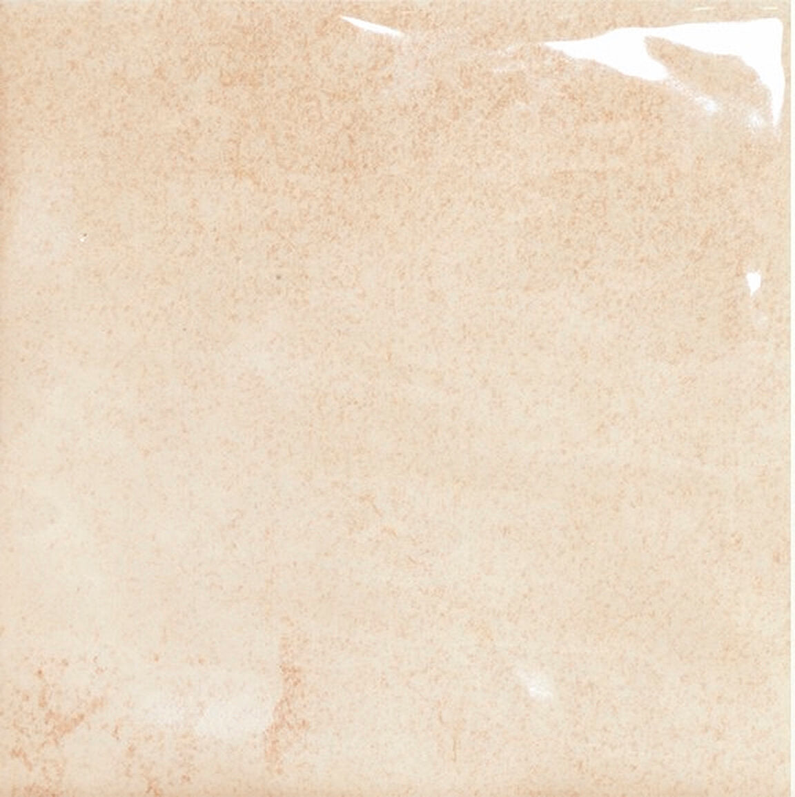 face · bottega-pale-10x10