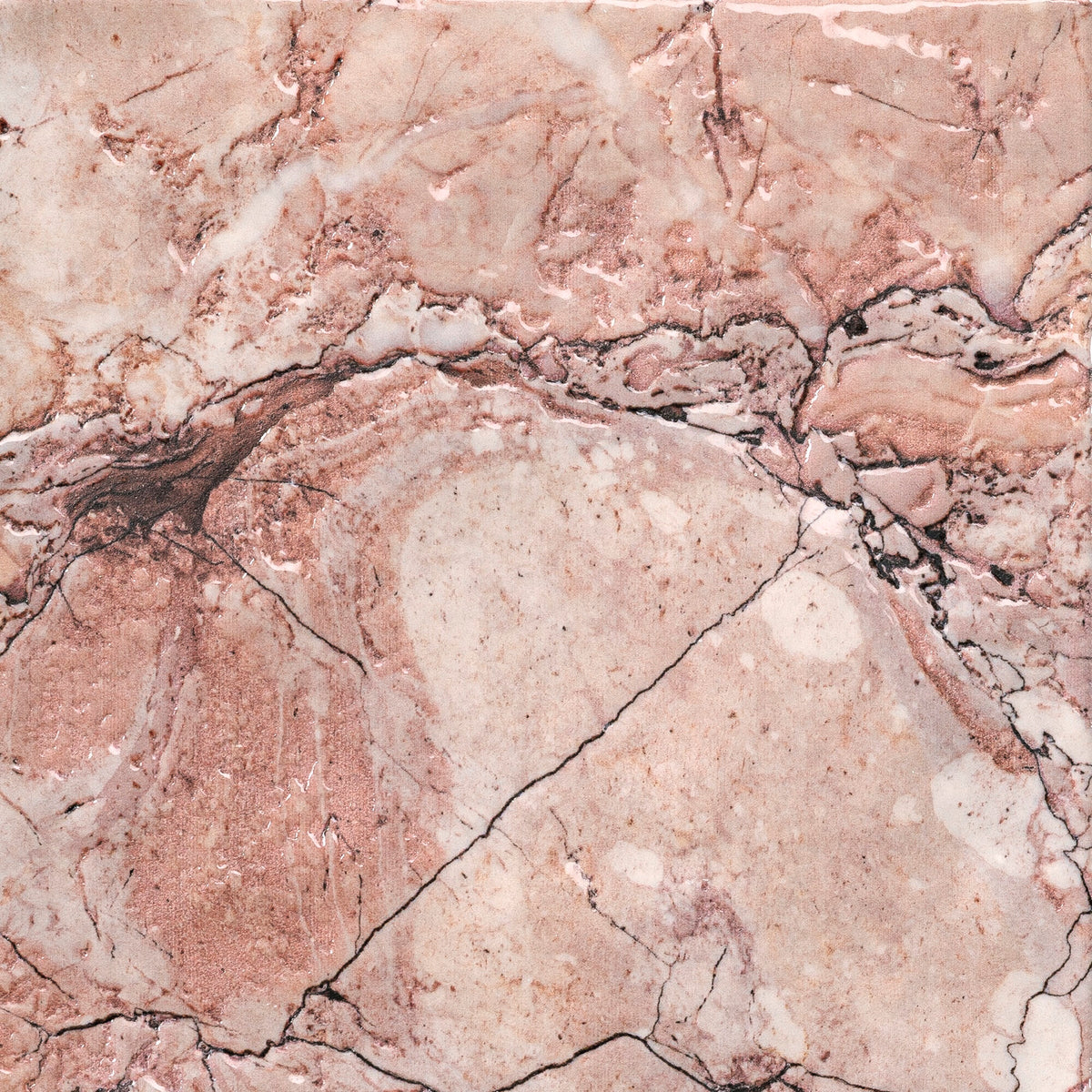 face · thalassa-pink-15x15