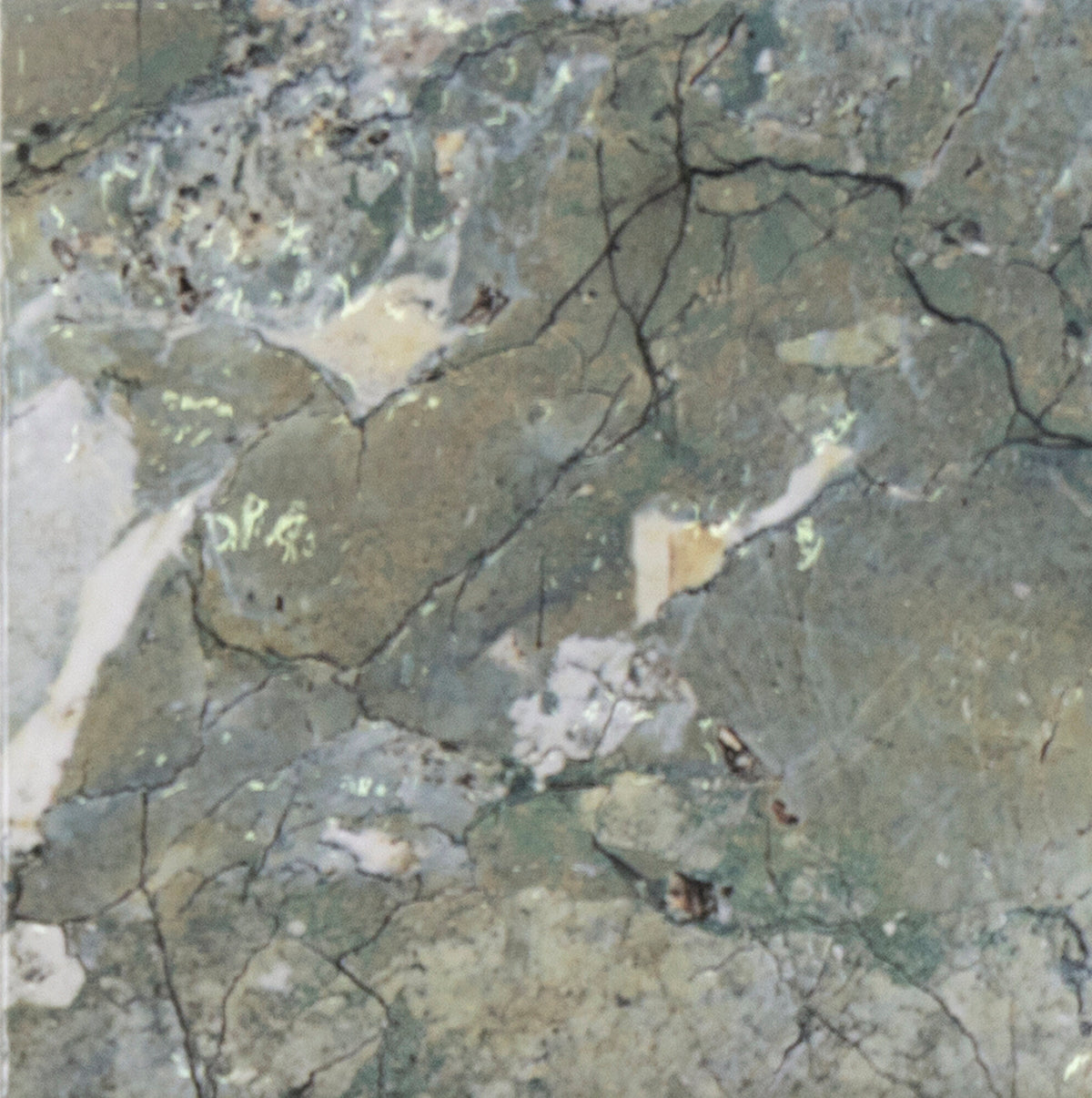 face · thalassa-green-15x15