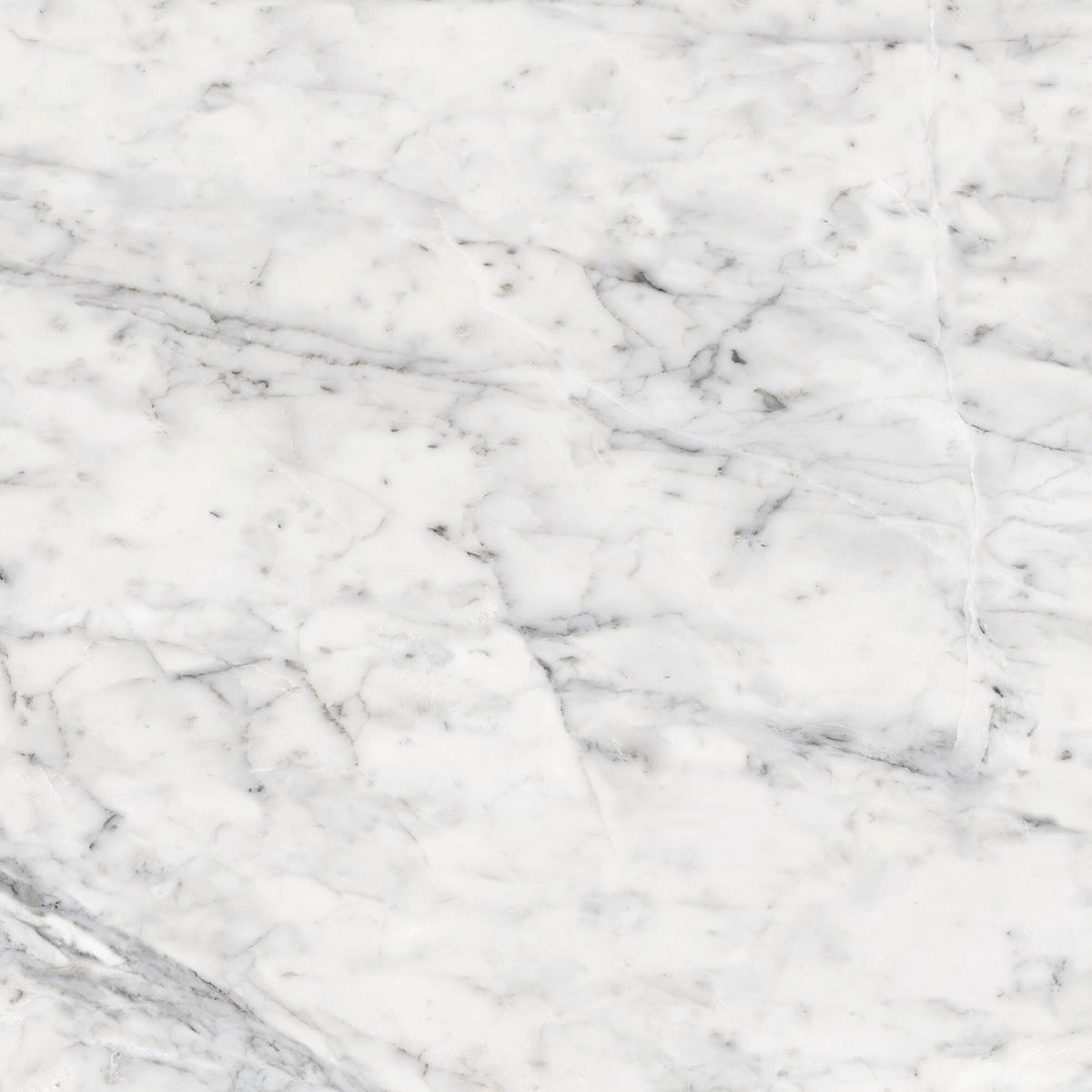 face · vita-polished-rect-60x60
