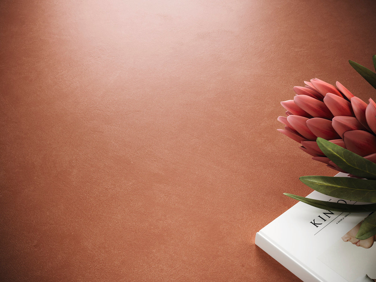 room · argillae-coral-amb-17
