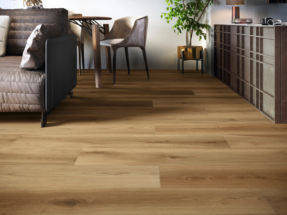 room · koen-miele-amb-1