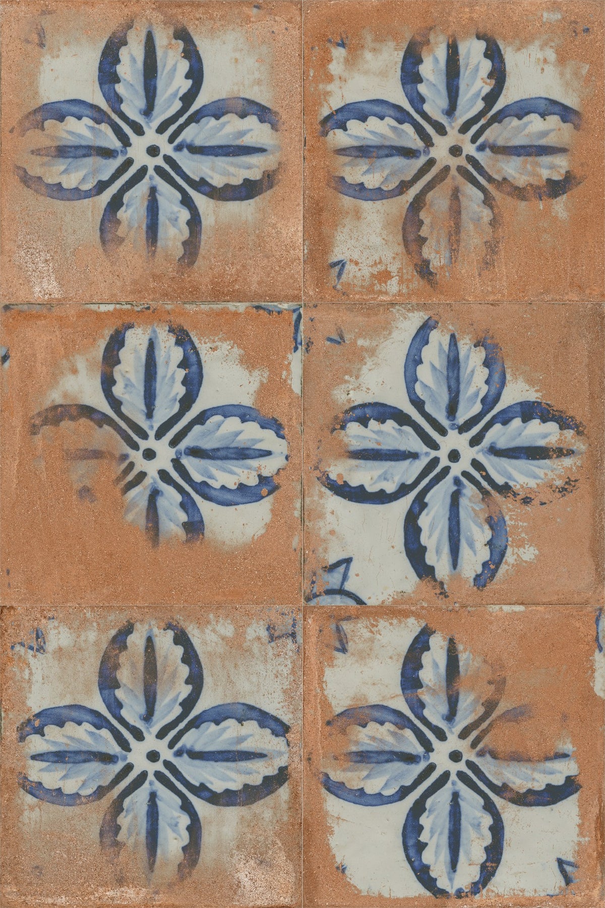 face · brolio-cotto-rect-120x120-layout