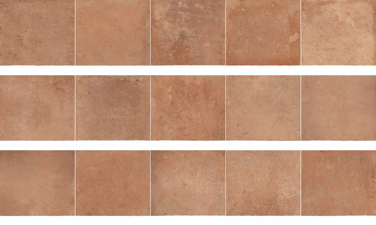 face · side-20x20-layout