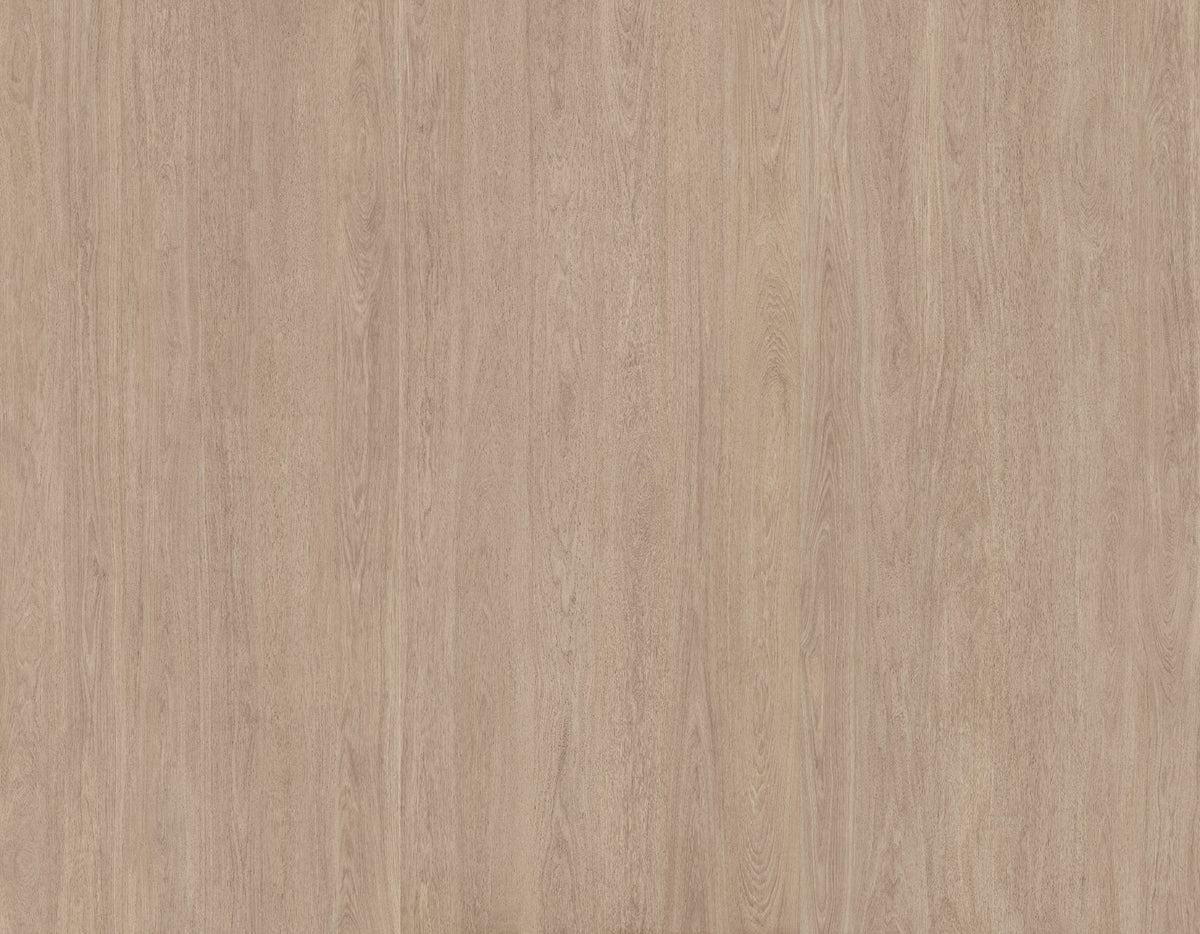 face · kinwood-beech-rect-120x280-layout