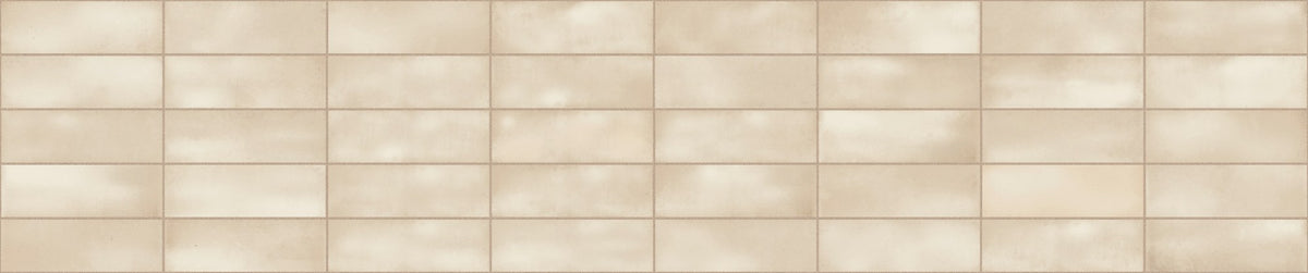 face · seville-bone-65x20-layout