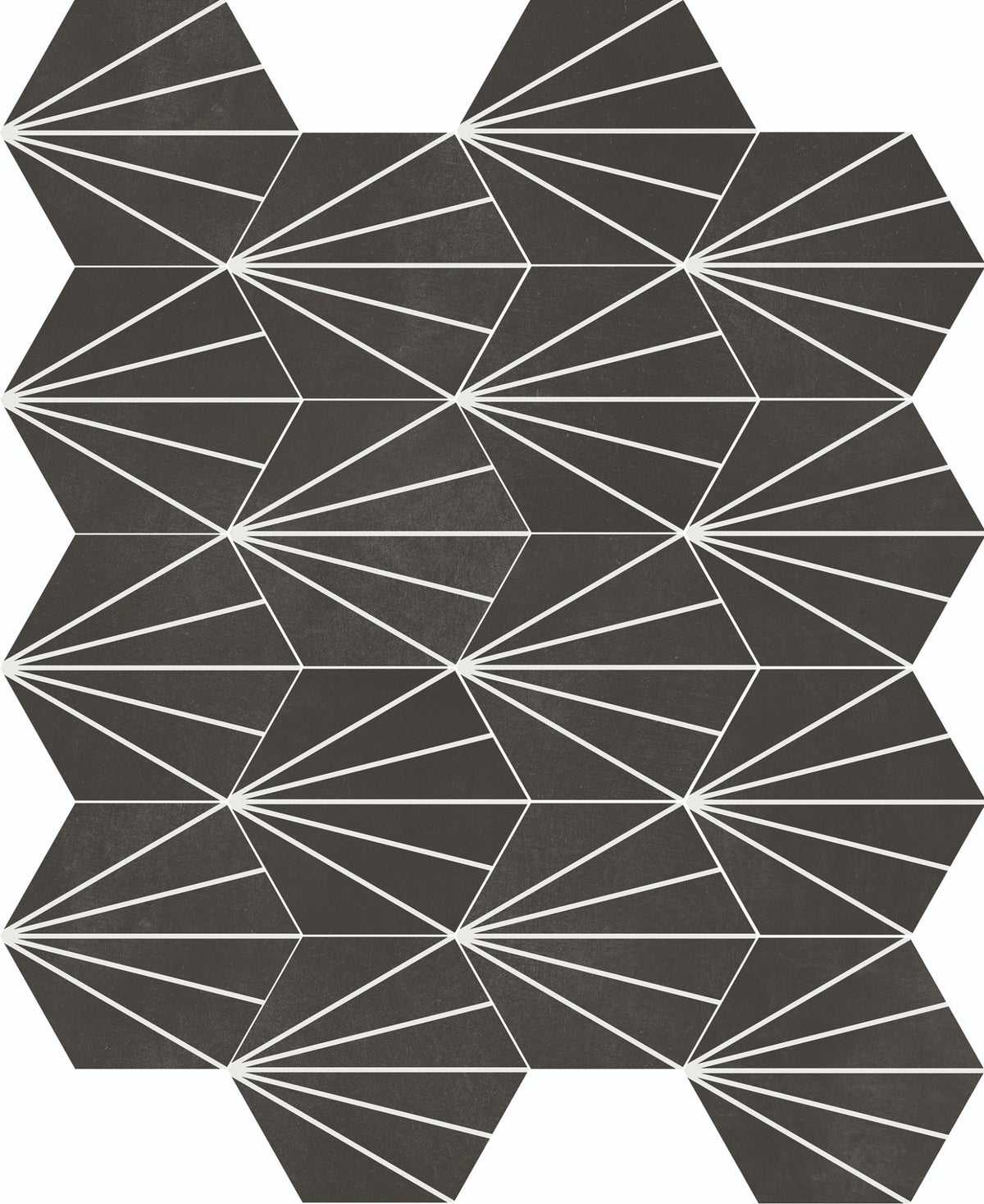 face · sunny-obsidiana-23x261-layout