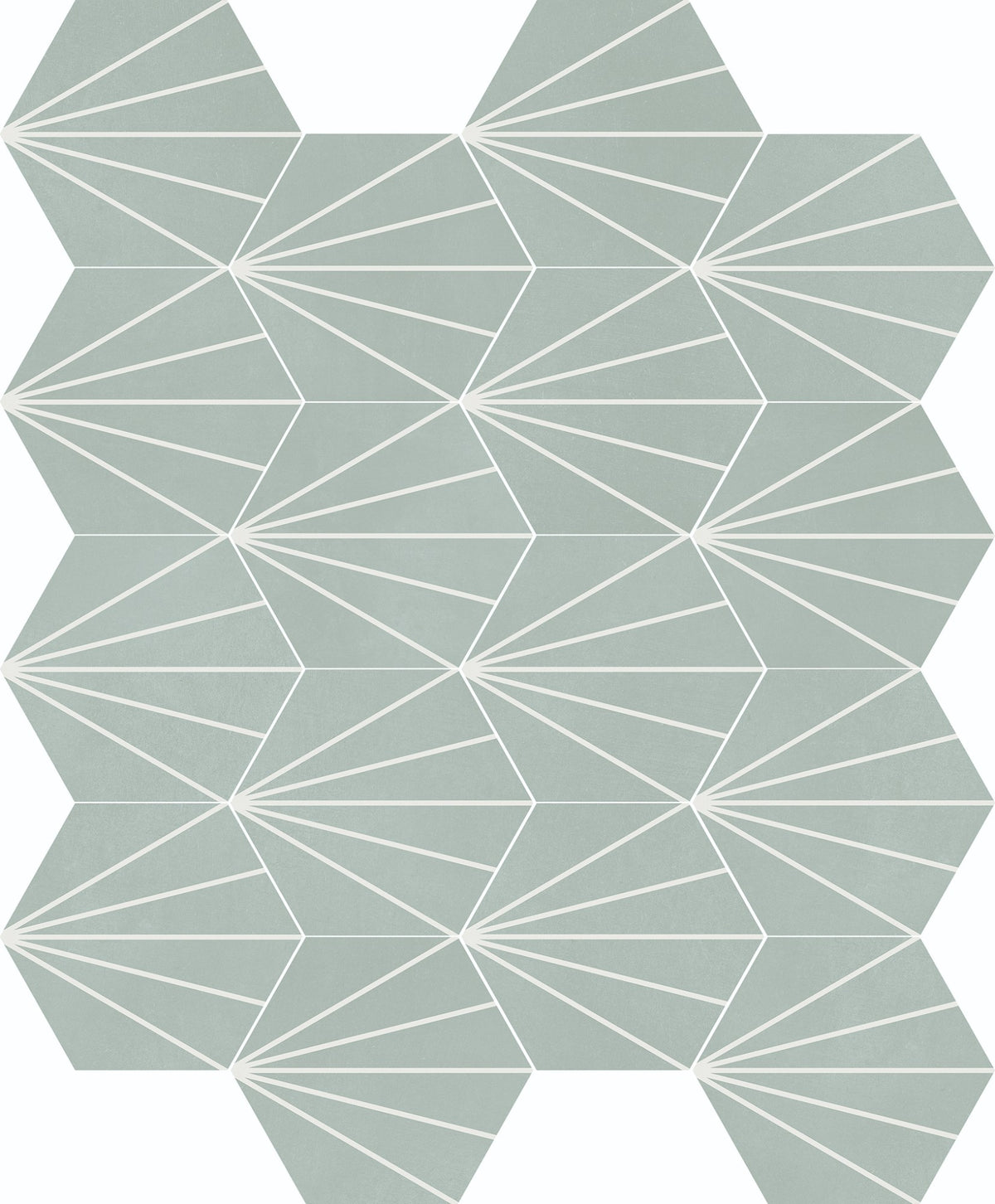 face · sunny-palladium-23x261-layout