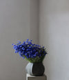 Arket Plant Pot, Mini by 101 Copenhagen in Dark Grey in a styled interior – In Dubai by WSPR