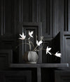 Arket Plant Pot, Petit by 101 Copenhagen in Dark Grey in a styled interior – In Dubai by WSPR