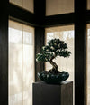 Bloom Tray, Big by 101 Copenhagen in Dark Green in a styled interior, view 2 – In Dubai by WSPR