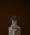 Cobra Vase Double, Mini by 101 Copenhagen in Bone White in a styled interior – In Dubai by WSPR
