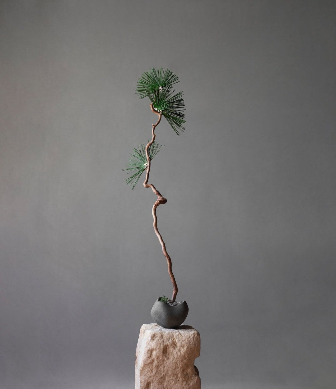 Curve Bowl, Mini by 101 Copenhagen in Dark Grey in a styled interior – In Dubai by WSPR