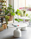 Illo Coffee Table by Miniforms styled beside a sunny window with plants and a stone-effect top – In Dubai by WSPR