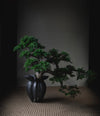 Lotus Vase, Mini by 101 Copenhagen in Coffee in a styled interior, view 2 – In Dubai by WSPR