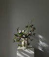 Lotus Vase, Petit by 101 Copenhagen in Birch in a styled interior – In Dubai by WSPR