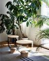 Mastea Coffee Table by Miniforms styled in a sunlit room with two tables of different sizes – In Dubai by WSPR