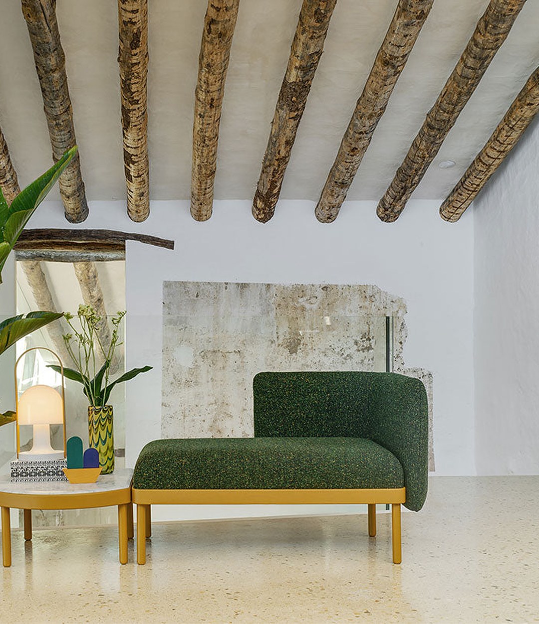 Mosaico Sofa by Sancal in green by a plant – In Dubai by WSPR