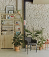 Nido Chair by Sancal in black by a plant-filled shelf – In Dubai by WSPR