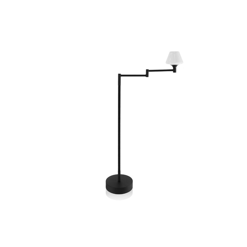 Hyde Articulated Floor Lamp