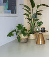 Pion Side Table by Sancal in gold among plants – In Dubai by WSPR