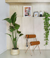 Roll Chair by Sancal in tan by a plant – In Dubai by WSPR