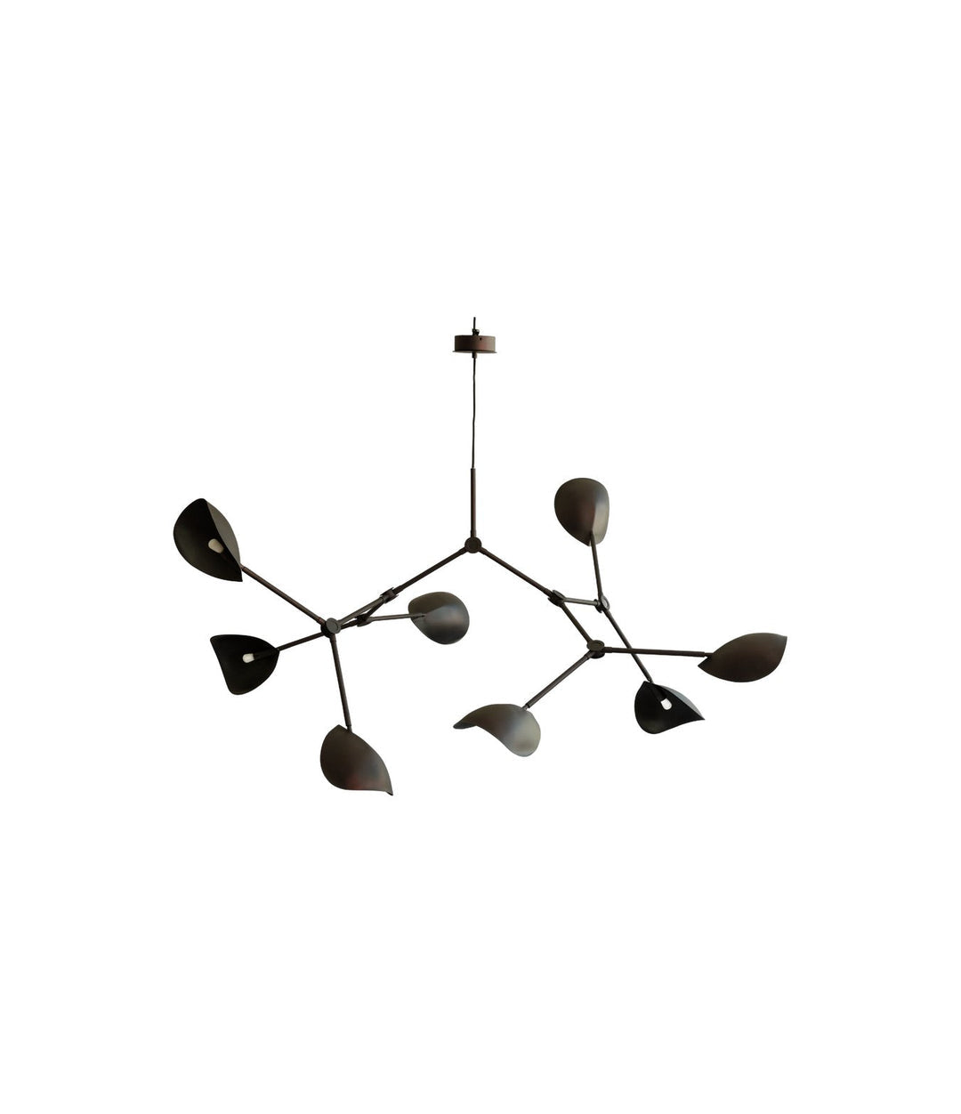 Stingray Chandelier, Grande by 101 Copenhagen in Burned Black (5m) – In Dubai by WSPR