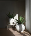Sunao Plant Pot Fat, Big by 101 Copenhagen in Birch in a styled interior, view 2 – In Dubai by WSPR