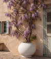 Sunao Plant Pot Fat, Hexa by 101 Copenhagen in Birch in a styled interior – In Dubai by WSPR