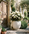 Sunao Plant Pot, Hexa by 101 Copenhagen in Birch in a styled interior, view 3 – In Dubai by WSPR