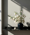 Sunao Vase, Mini by 101 Copenhagen in Dark Green in a styled interior – In Dubai by WSPR