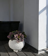Urchin Plant Pot, Mini by 101 Copenhagen in Beehive in a styled interior, view 2 – In Dubai by WSPR