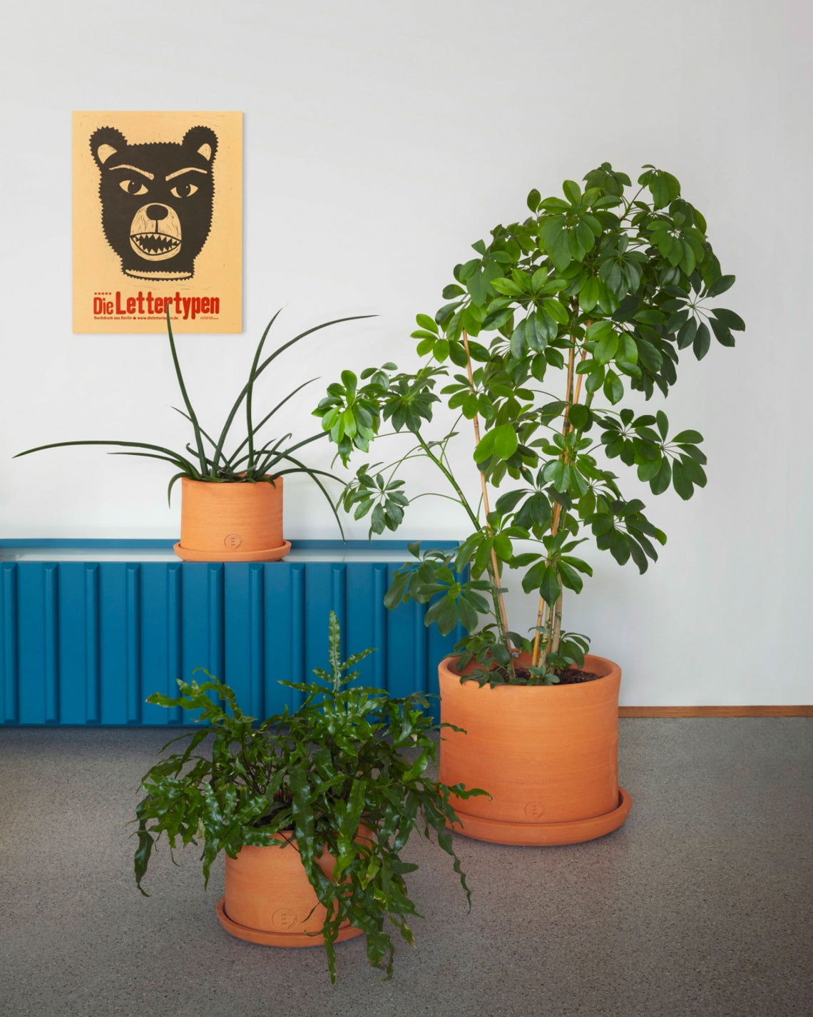 Vavavà Vase by Miniforms styled with leafy plants against a blue radiator – In Dubai by WSPR